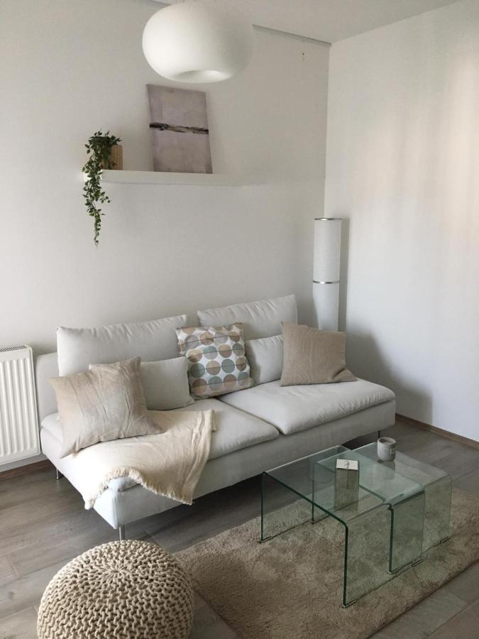 River Apartment Paraćin Buitenkant foto